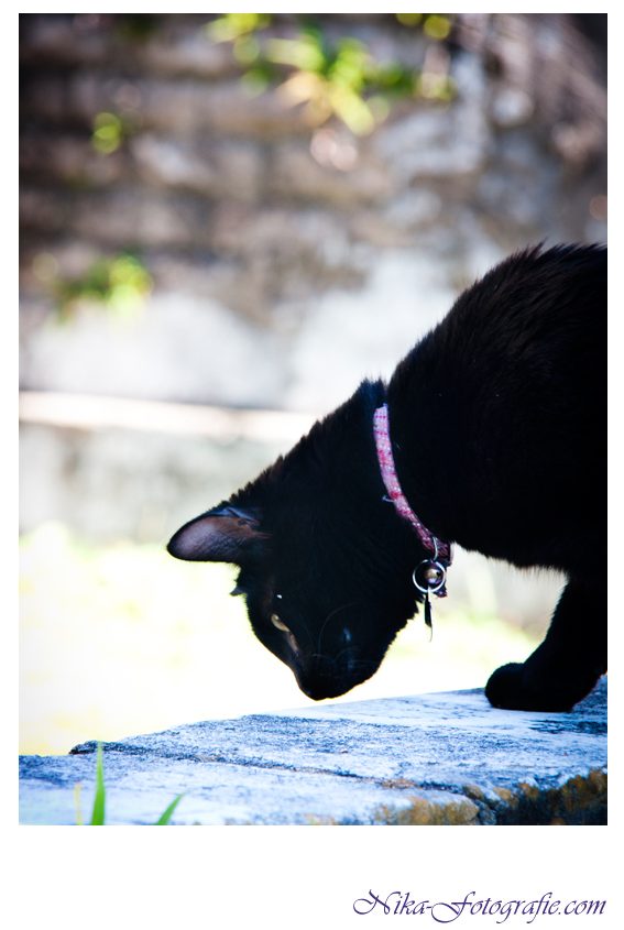 36-New Orleans-9 - Kopie